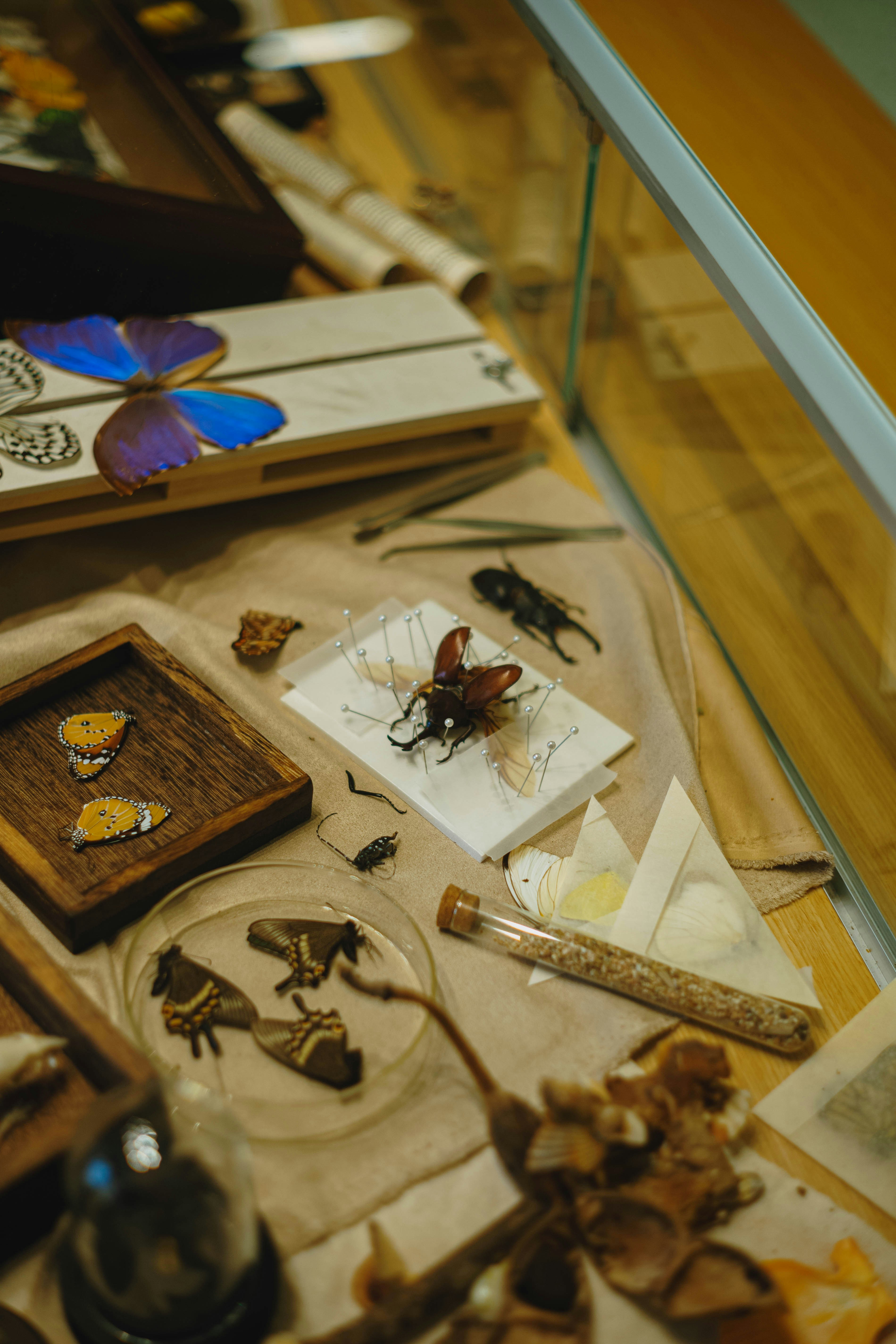 biodiversity science