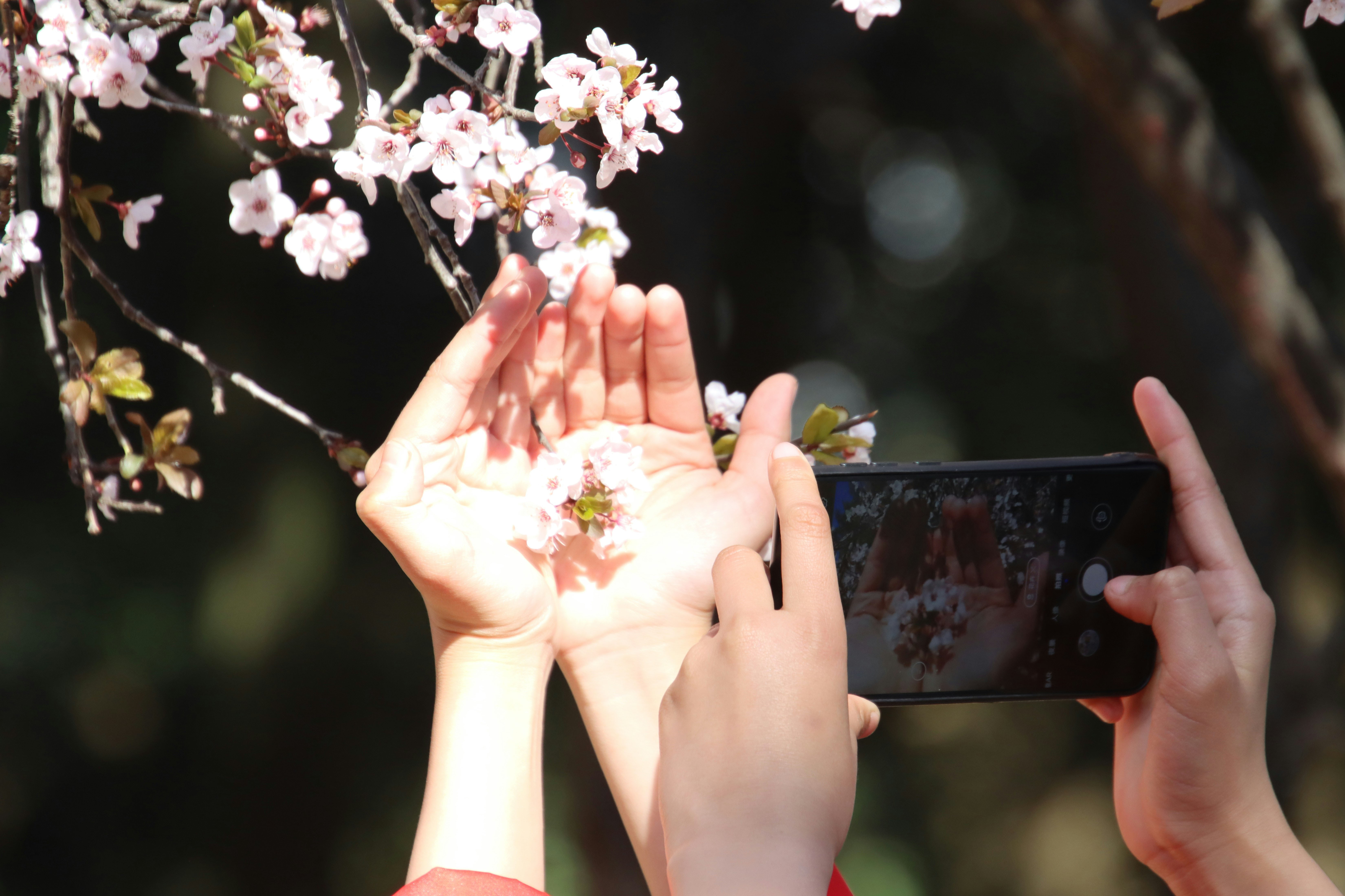 taking a picture